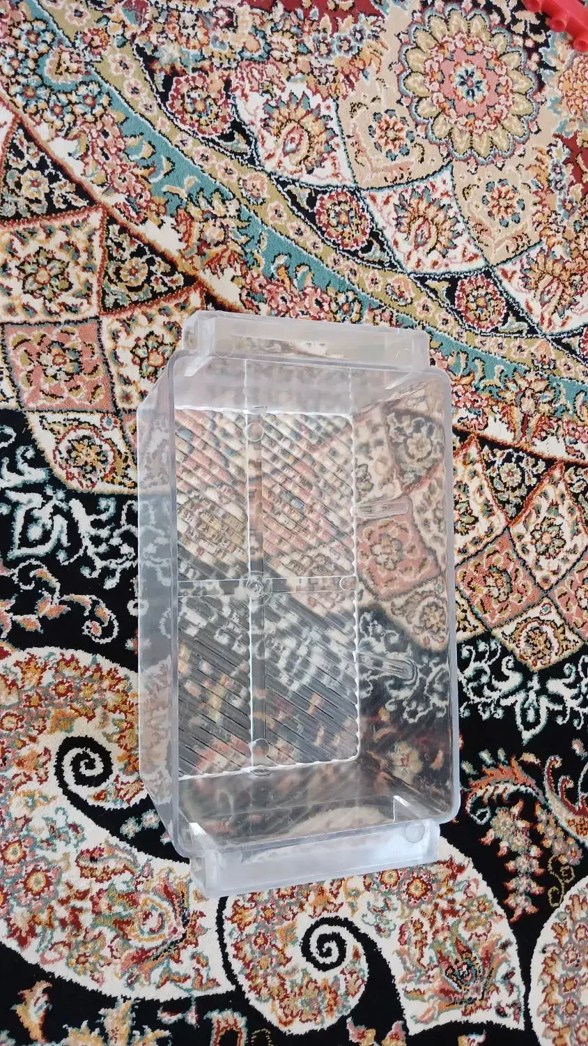 آکواریم با تمام لوازم زیرقیمت|ماهی|قم, پردیسان|دیوار