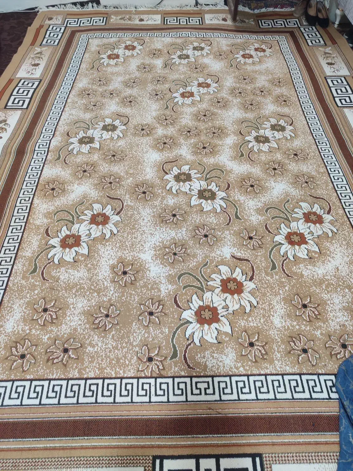 گلیم9متری|گلیم، جاجیم، گبه|زاهدان, |دیوار