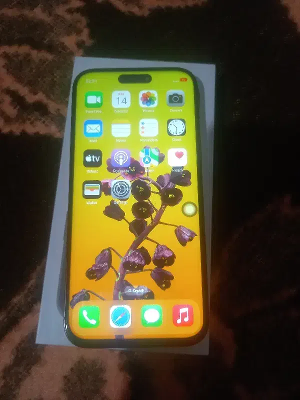 گوشی آیفن ۱۶ نو نو|موبایل|کرج, خرمدشت|دیوار