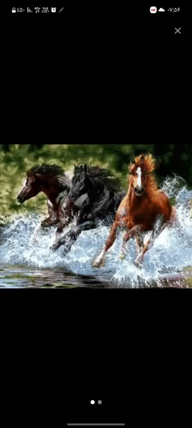 نخ و نقشه تابلو فرش|تابلو فرش|بابل, |دیوار