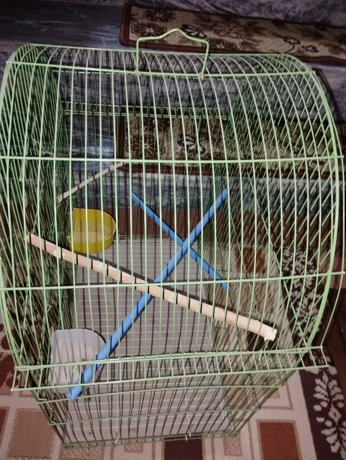 قفس پرنده|لوازم جانبی حیوانات|بروجرد, |دیوار