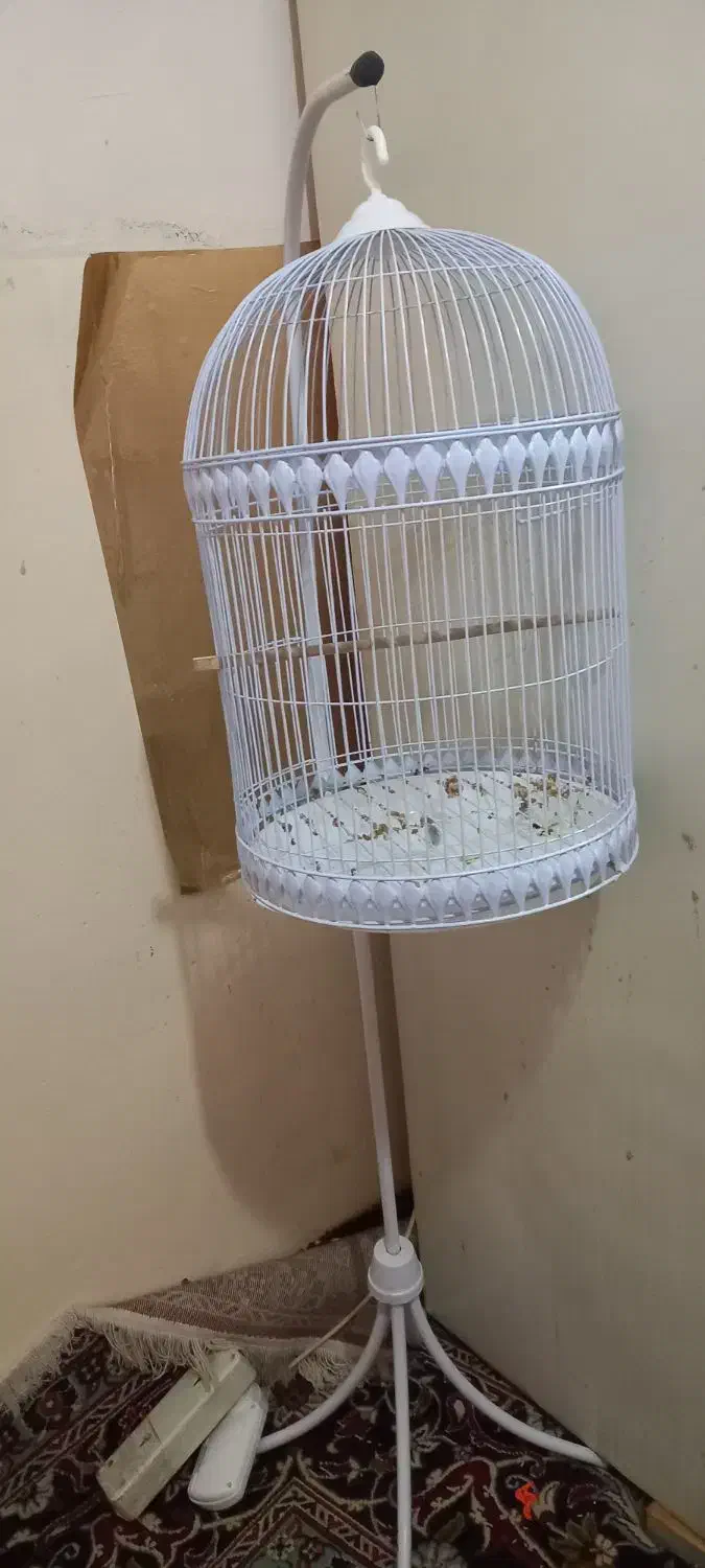 قفس پایه دار نو|لوازم جانبی حیوانات|طرقبه, |دیوار