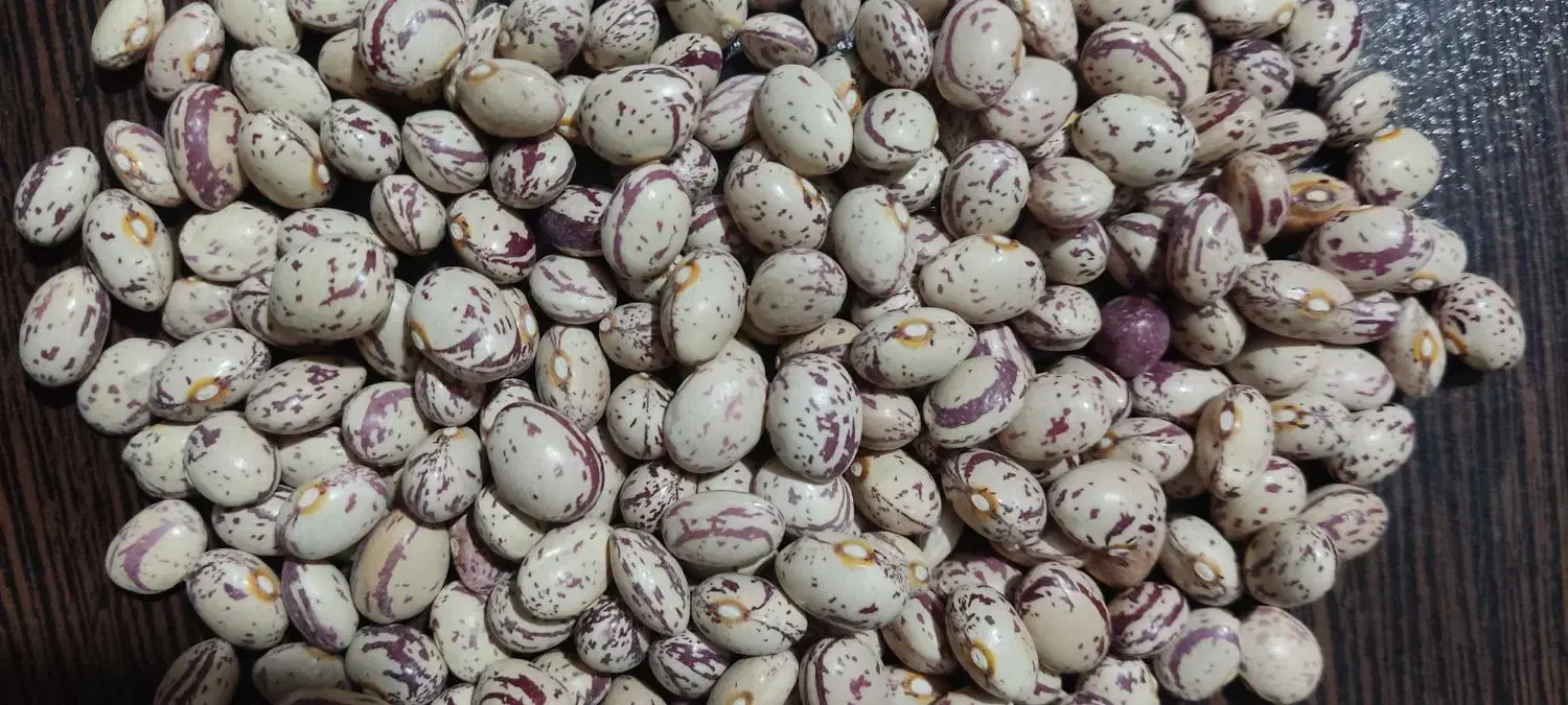 چیتی|خوردنی و آشامیدنی|پاسارگاد, |دیوار