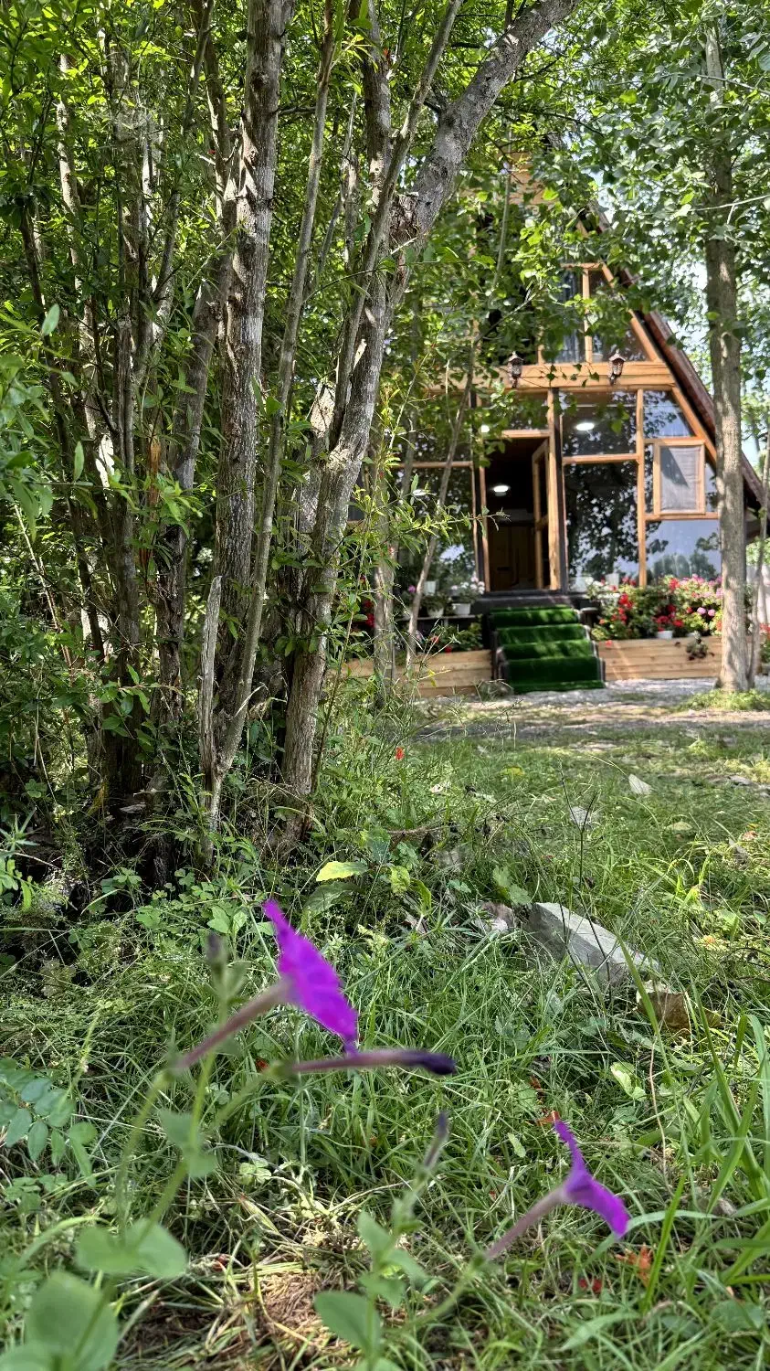 اجاره روزانه|اجارهٔ کوتاه‌مدت ویلا و باغ|شاندرمن, |دیوار