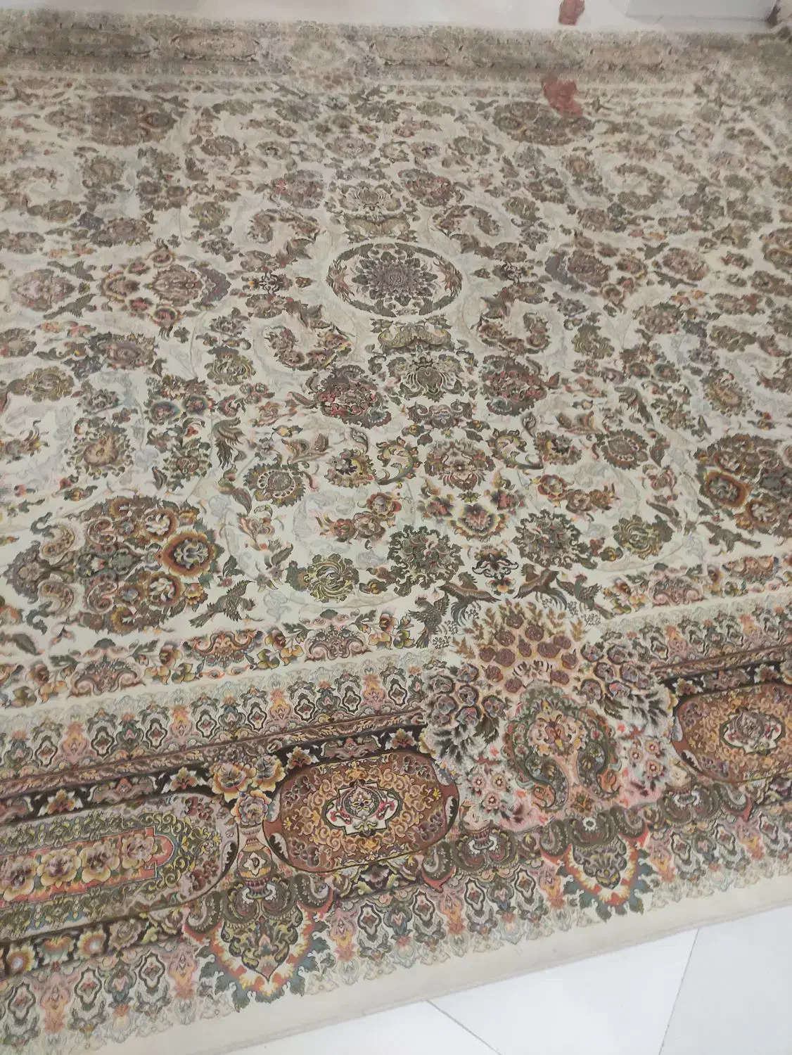 فرش 12متری|فرش|قم, حاج خلیل|دیوار