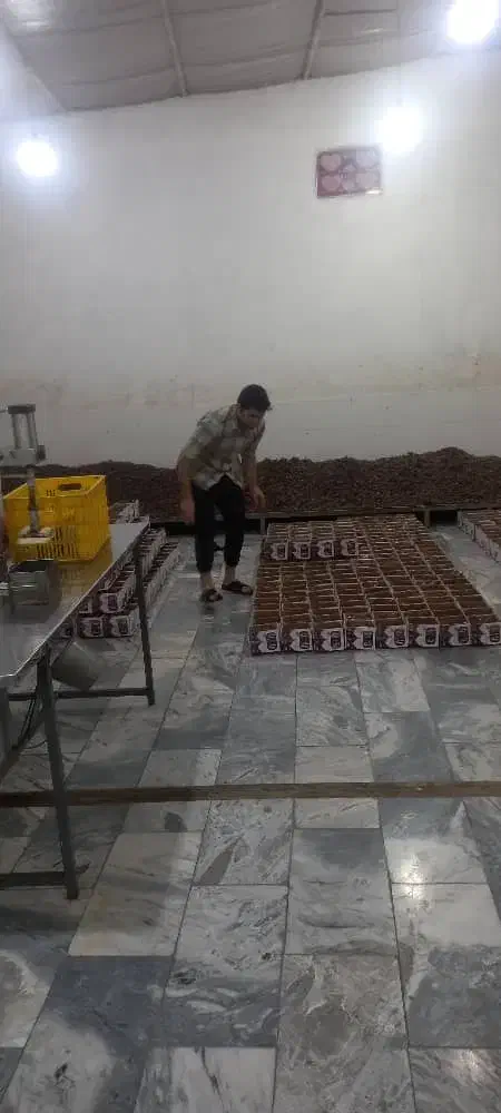 خرما کبکاب بوشهر|عمده‌فروشی|اردبیل, |دیوار