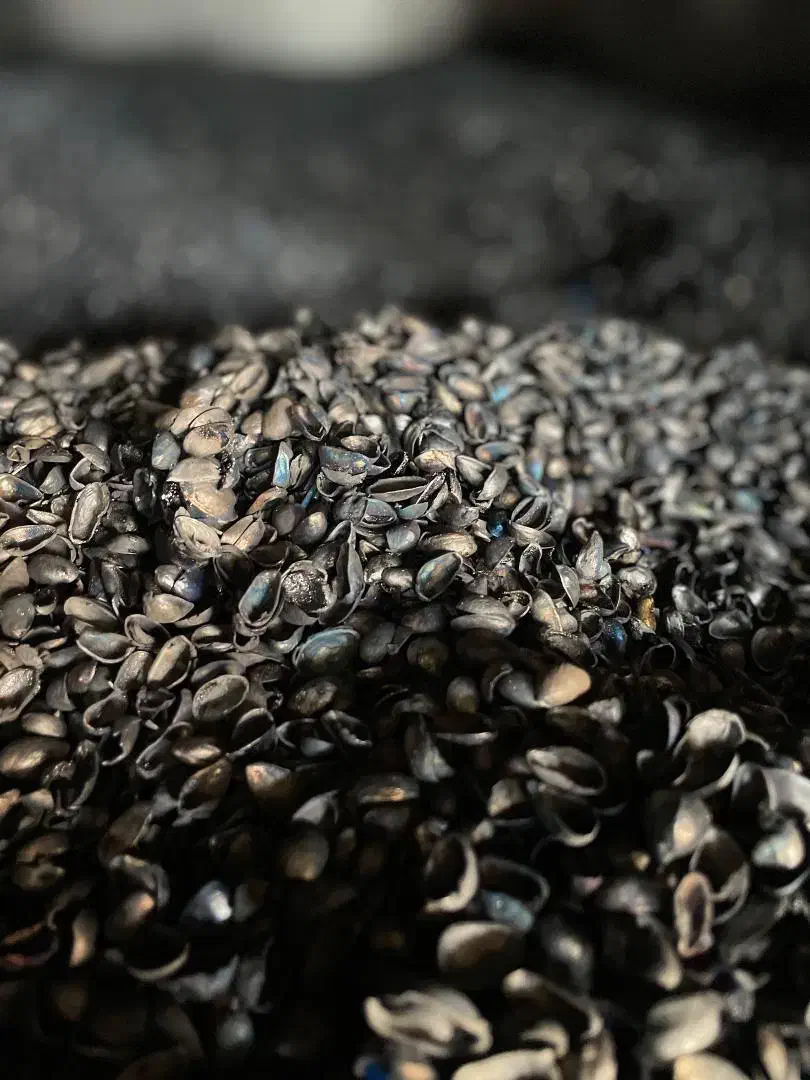 کربن|کلکسیون و سرگرمی|تهران, دانشگاه شریف|دیوار