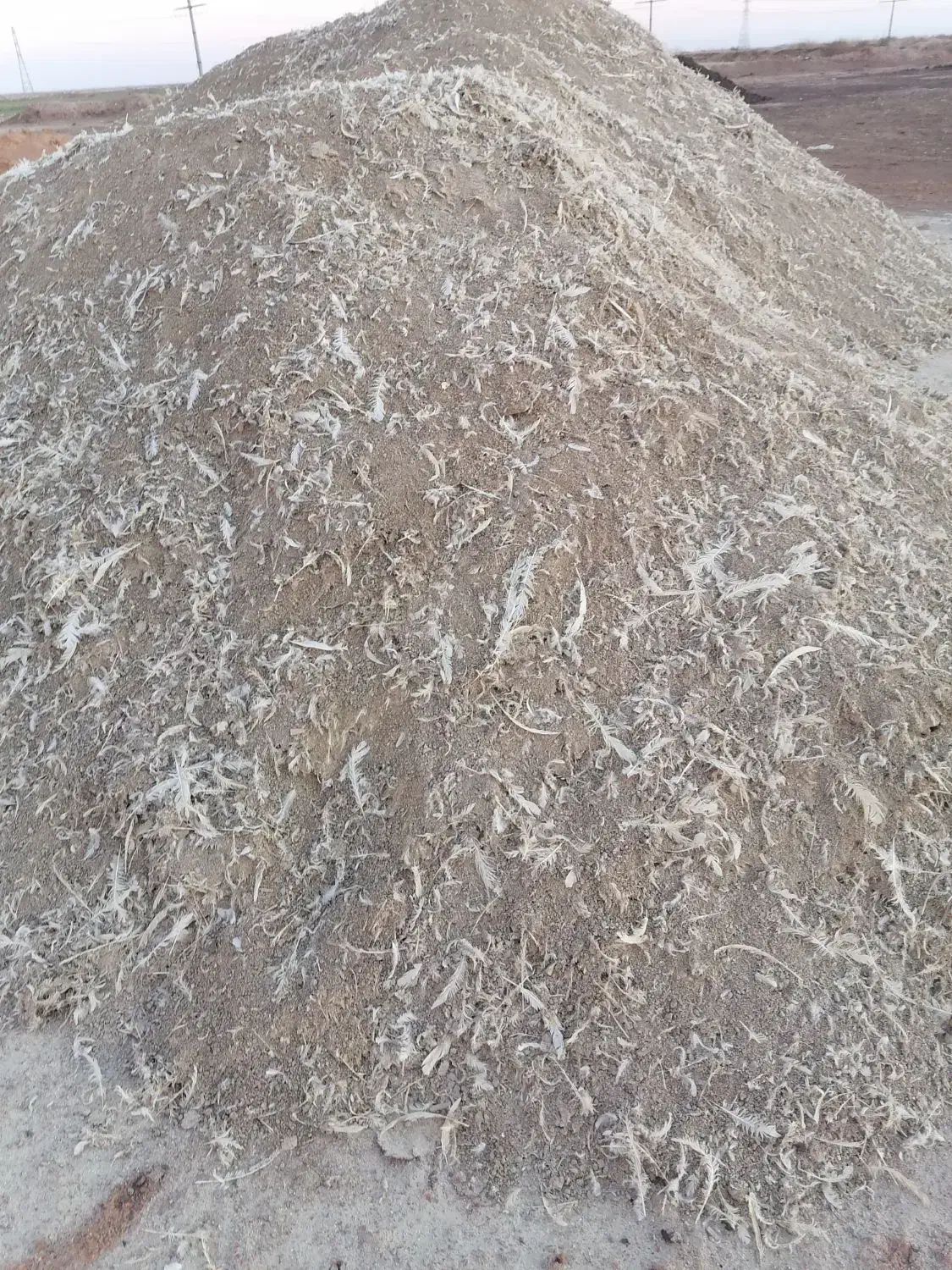 کود مرغی|خدمات باغبانی و درختکاری|قزوین, |دیوار