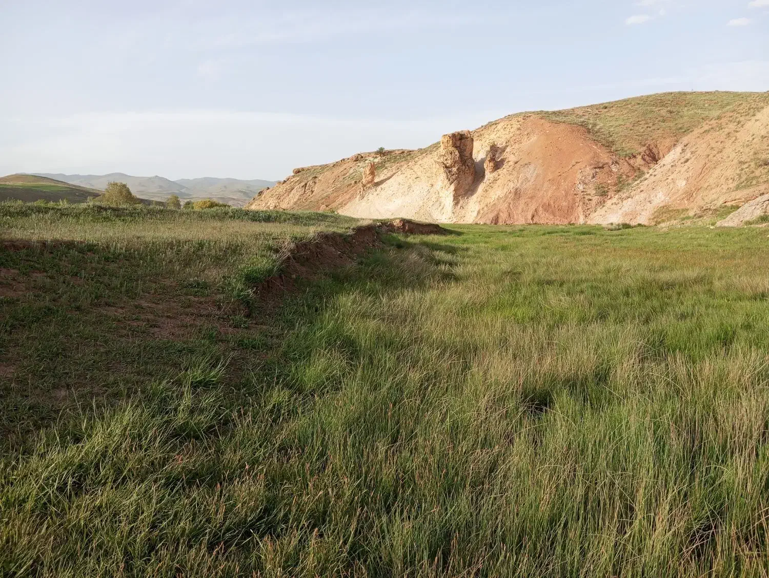 اجاره زمین کشاورزی|اجارهٔ دفتر صنعتی، کشاورزی، تجاری|کرانی, |دیوار