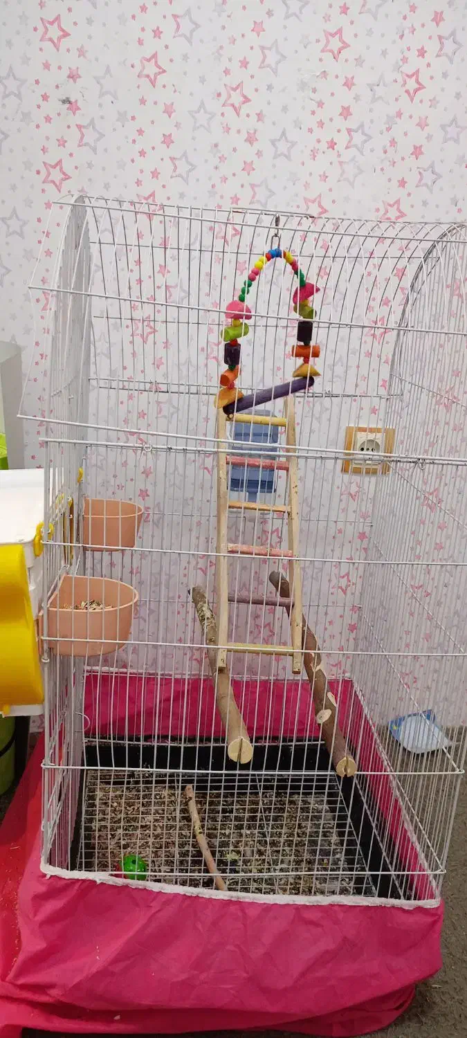 قفس بزرگ با تمام وسایل|لوازم جانبی حیوانات|سنندج, |دیوار