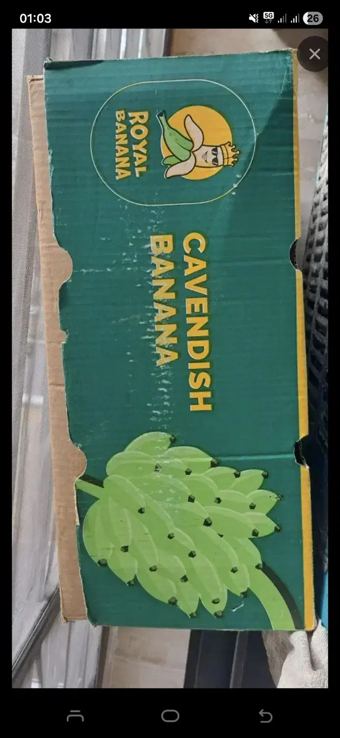 جعبه موز|ظروف نگهدارنده، پلاستیکی، یک‌بارمصرف|تهران, حکیمیه|دیوار