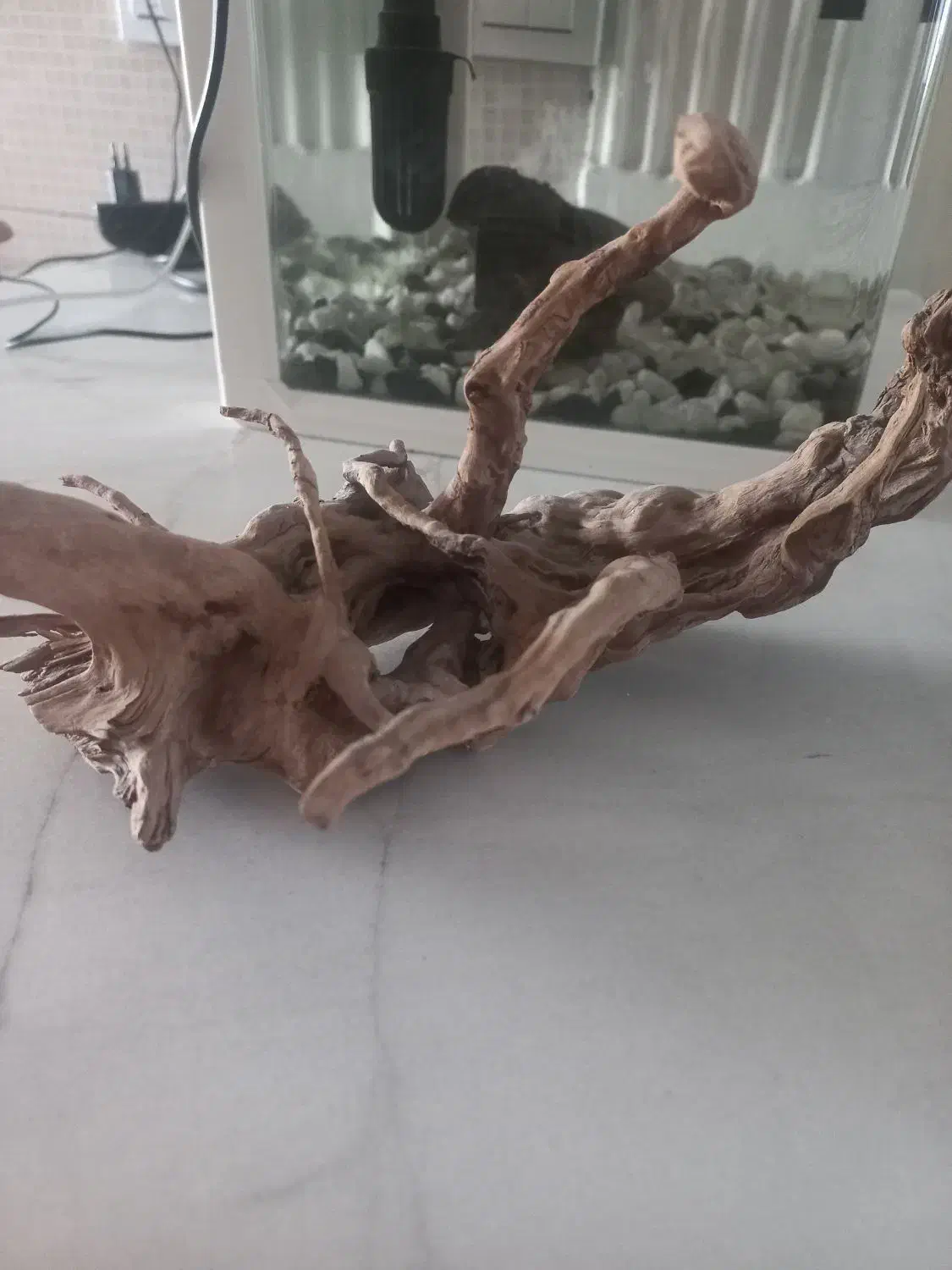 ابنوس اکواریوم|لوازم جانبی حیوانات|اسلامشهر, شهرک واوان|دیوار