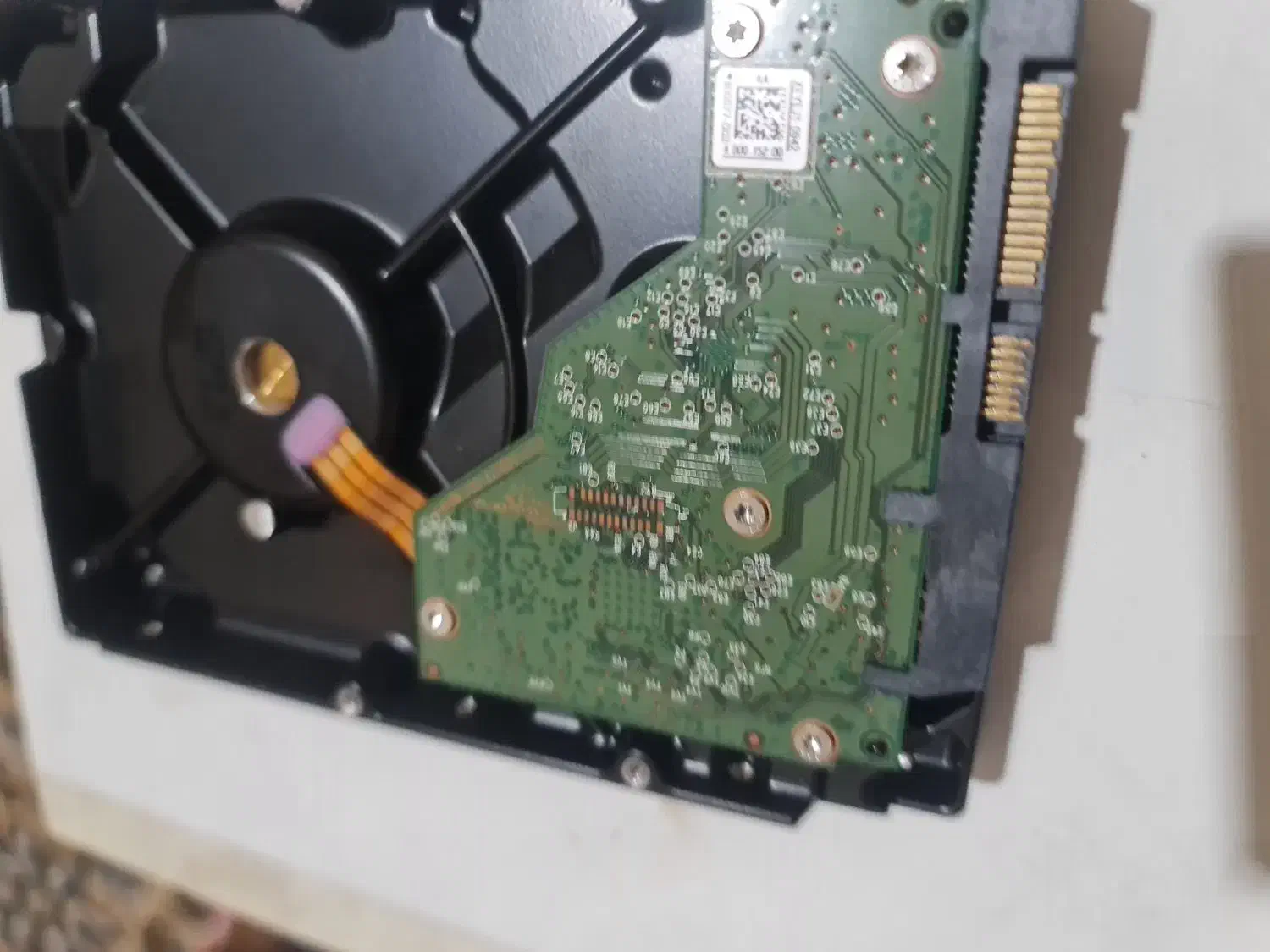 هارد وسترن بنفش 2.0 TB|قطعات و لوازم جانبی رایانه|اردبیل, |دیوار