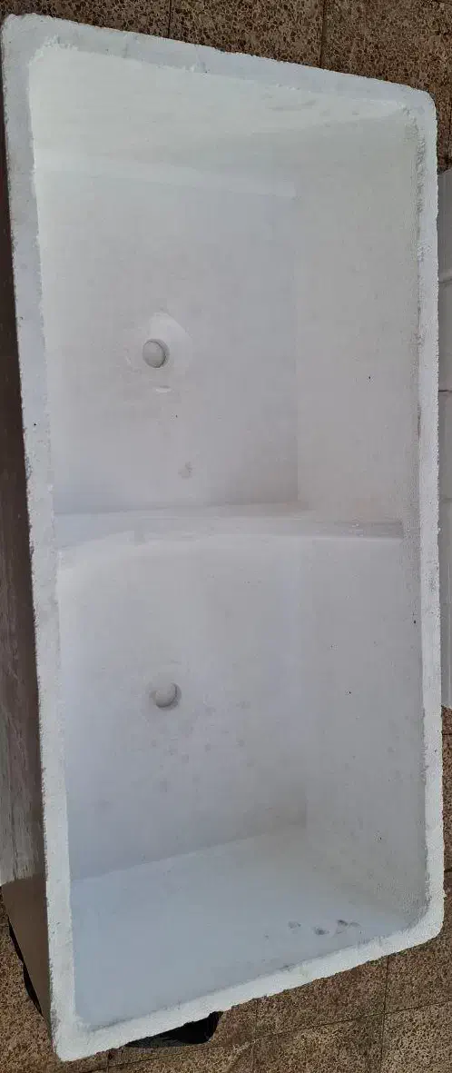 گلدان|گل و گیاه طبیعی|خسروشاه, |دیوار