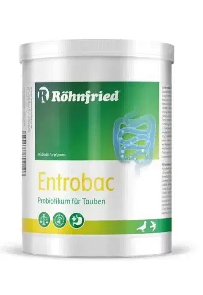 مکمل عروس هلندی گرینچیک کاسکو راهب قناری|لوازم جانبی حیوانات|اصفهان, شاهد|دیوار