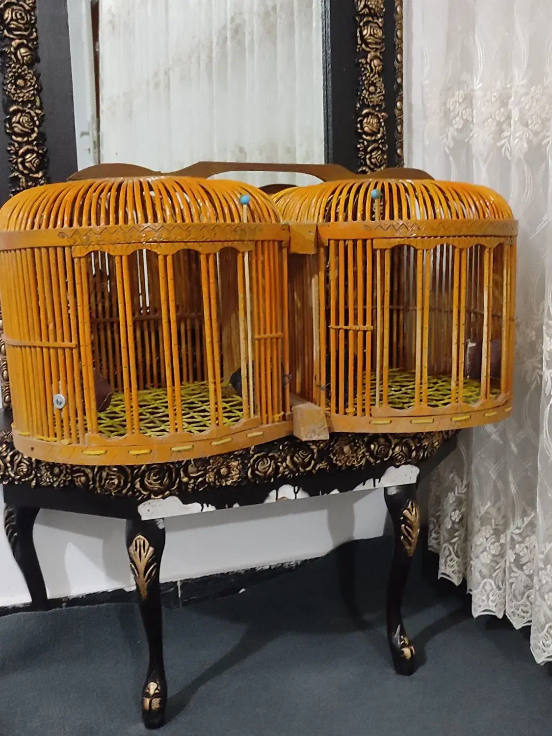 قفص|لوازم جانبی حیوانات|سروآباد, |دیوار