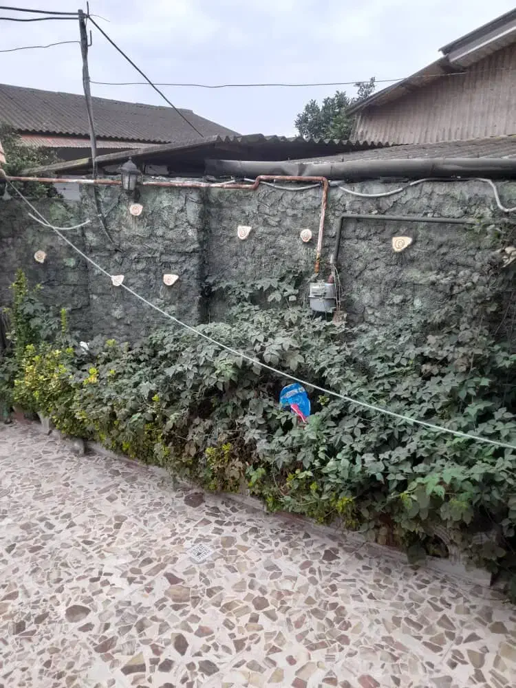 ویلا ۲۰۰ جتری سند پروانه  جاده سرخرود|فروش خانه و ویلا|دابودشت, |دیوار