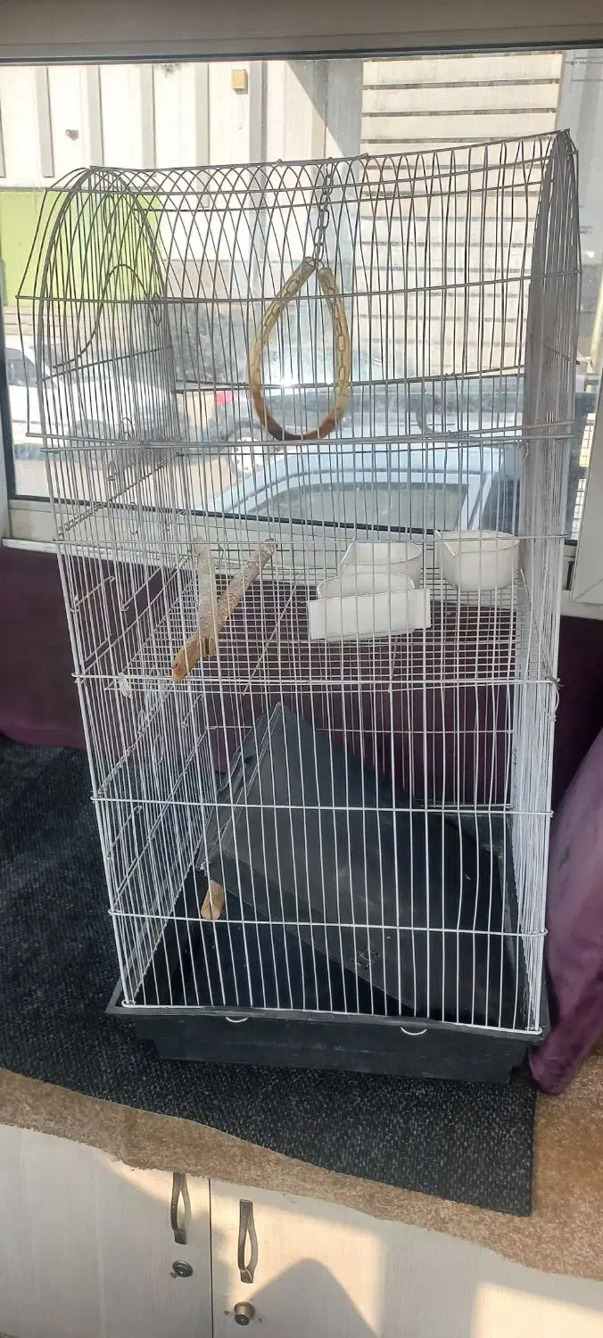 قفس|لوازم جانبی حیوانات|تهران, بهمن یار|دیوار