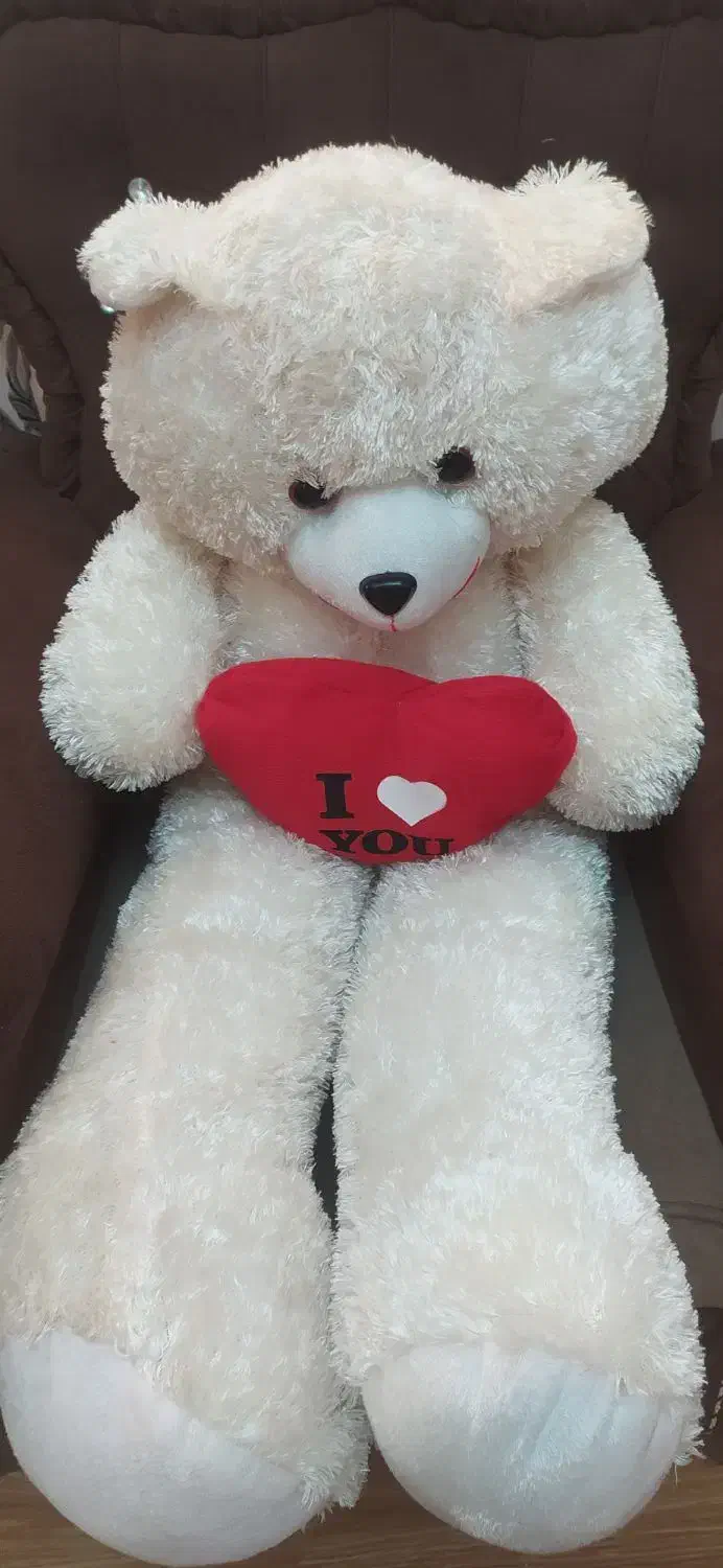 خرس|کلکسیون و سرگرمی|تبریز, |دیوار