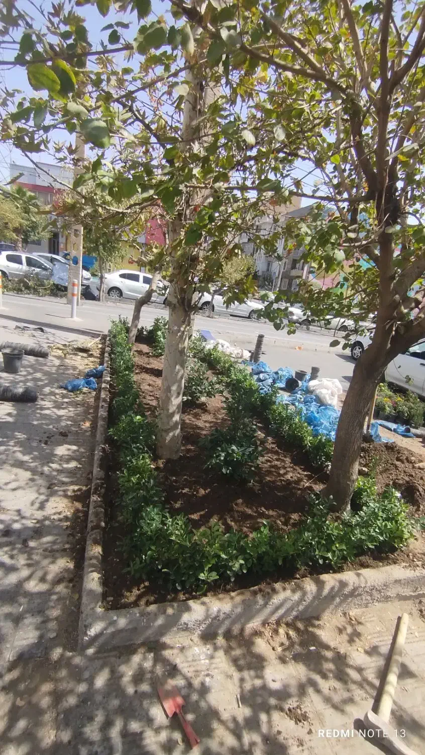 خدمات حرفهای باغبانی و فضای سبز در محیط شما|خدمات باغبانی و درختکاری|تهران, قلهک|دیوار