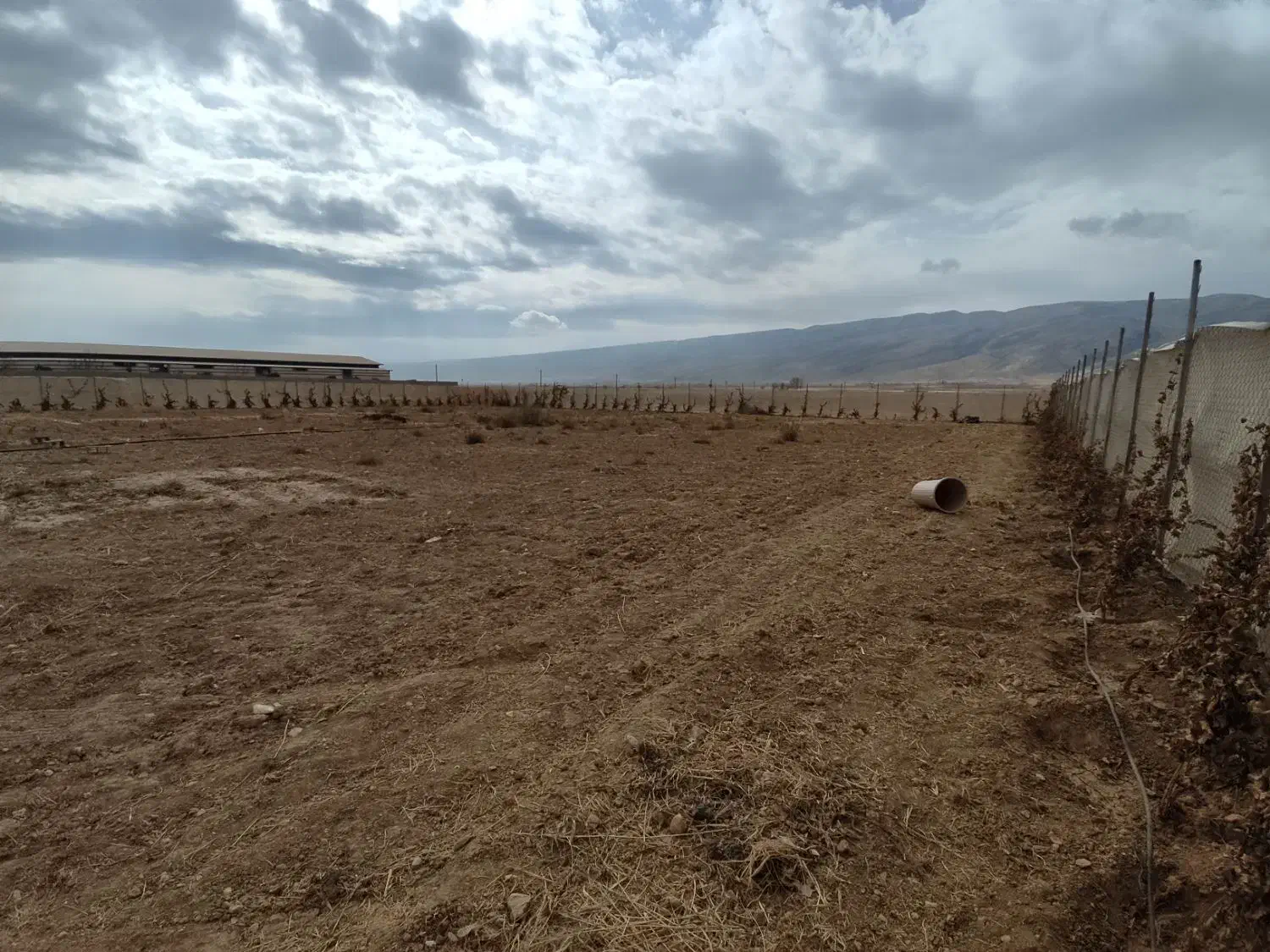 فروش زمین با مجوز گلخانه (باغشهری)|فروش دفتر صنعتی، کشاورزی، تجاری|شیراز, بید زرد|دیوار