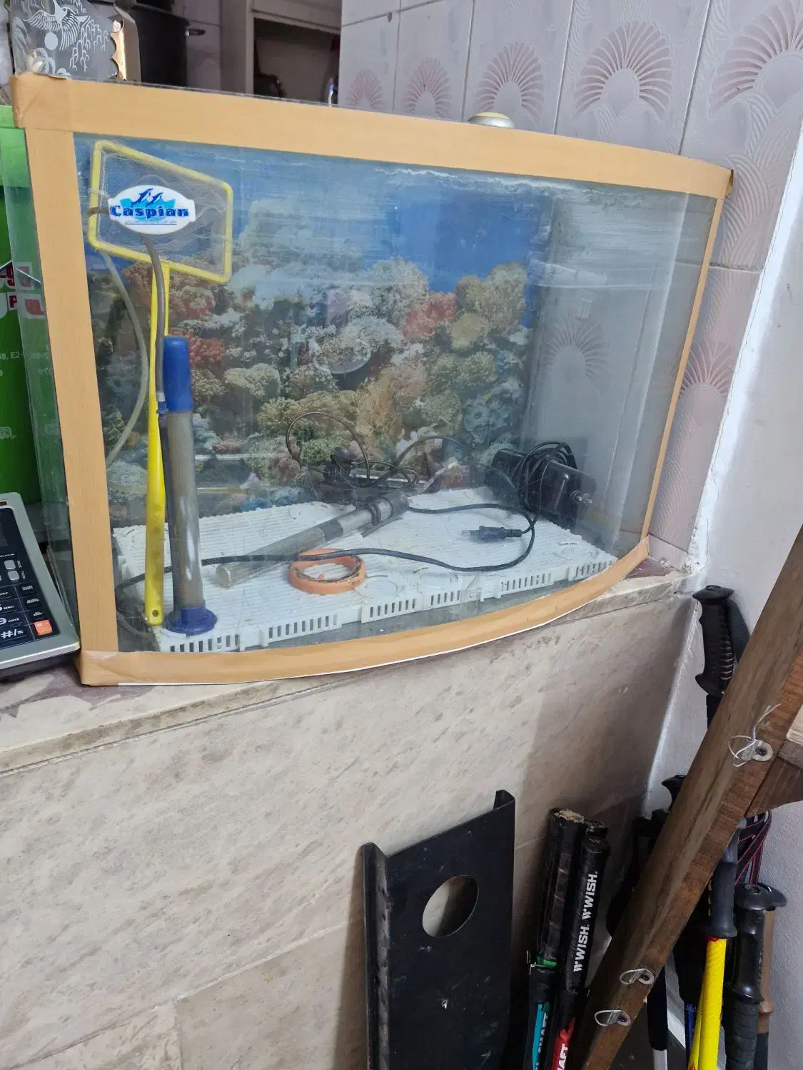 آکواریوم ماهی|ماهی|پاکدشت, پاکدشت (مامازند)|دیوار