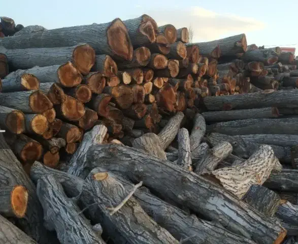 خرید چوب انواع چوب باغی|خدمات باغبانی و درختکاری|آباده, |دیوار