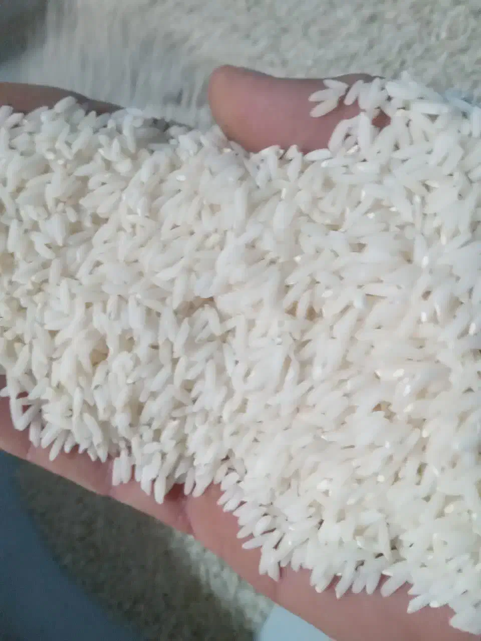 برنج محلی|خوردنی و آشامیدنی|بروجرد, |دیوار