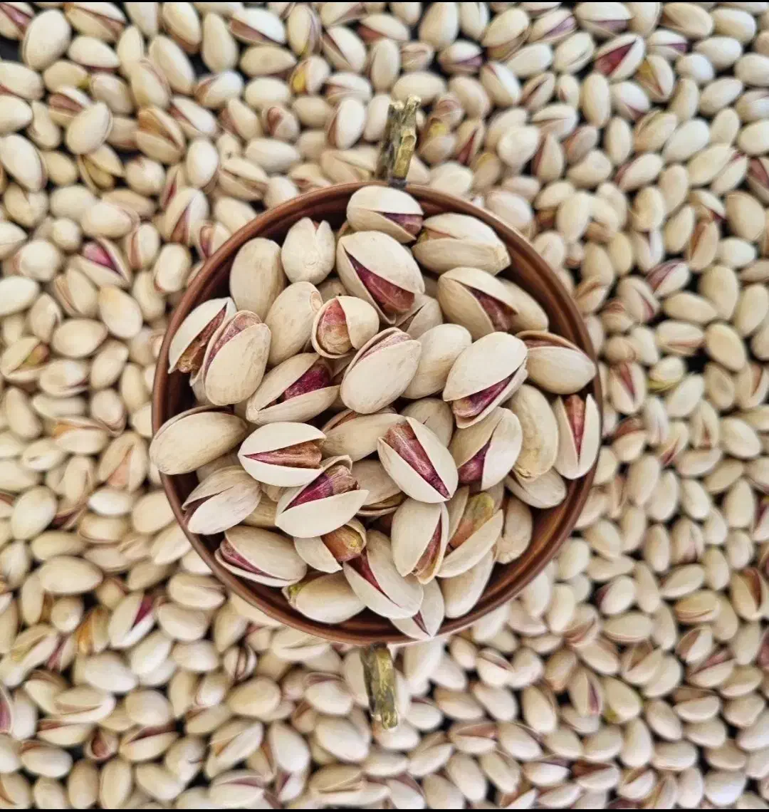 سلام پسته خندان و دهن بسته شمارو بصورت نقدی|خدمات باغبانی و درختکاری|بیرجند, |دیوار