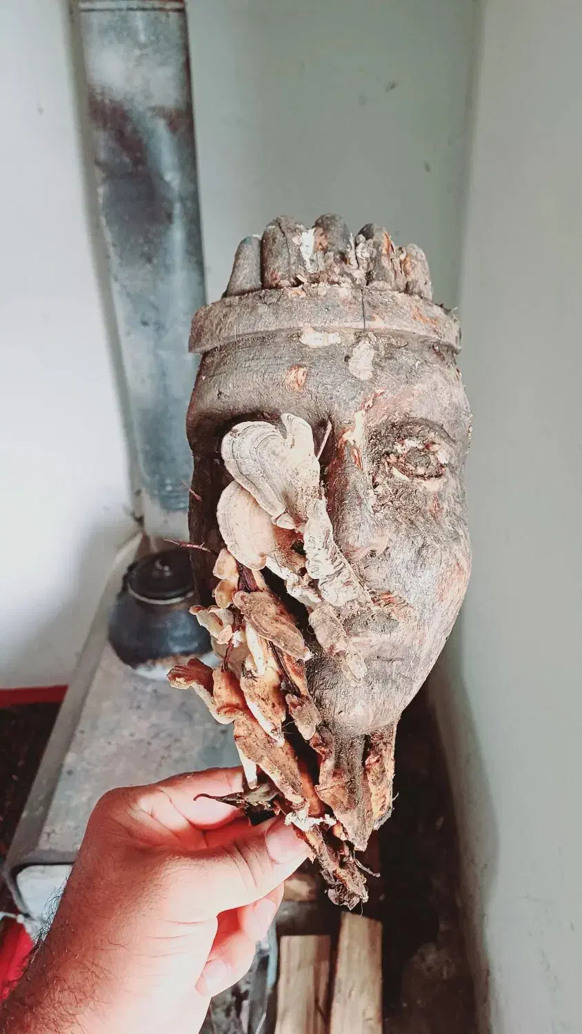 مجسمه چوبی|مجسمه، تندیس، ماکت|گرگان, |دیوار