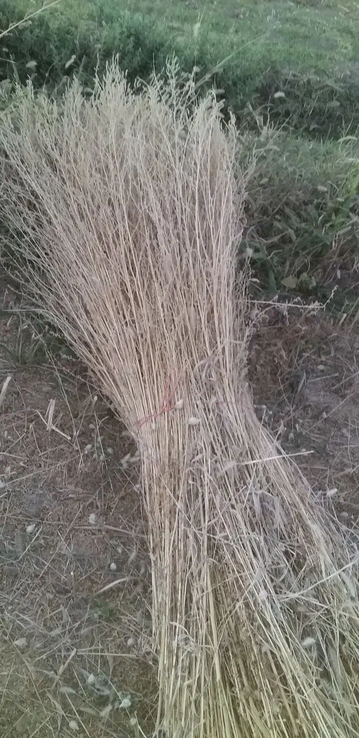 جارو|لوازم نظافت|نهاوند, |دیوار