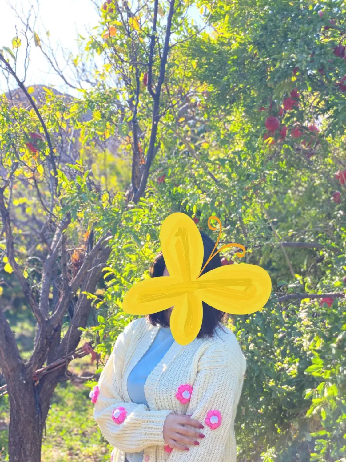 بافت پائیزی خوشگل|لباس|اردبیل, |دیوار