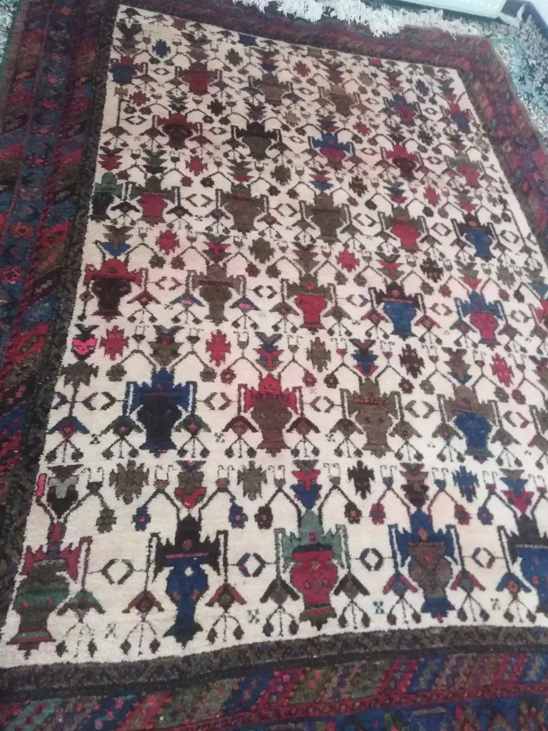 قالی فروشی|فرش|کرمان, |دیوار