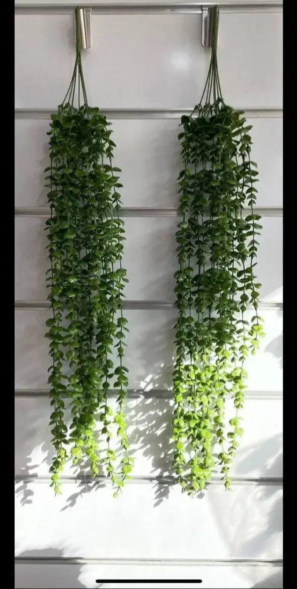 آویز شمشاد ۱۶ شاخه(گالری کوروش)|گل مصنوعی|بیرجند, |دیوار