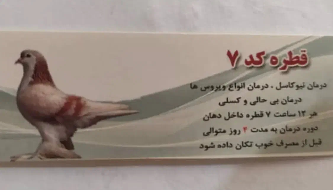 انواع دارو های کبوتر صددرصد تضمینی|لوازم جانبی حیوانات|شیراز, پودنک|دیوار