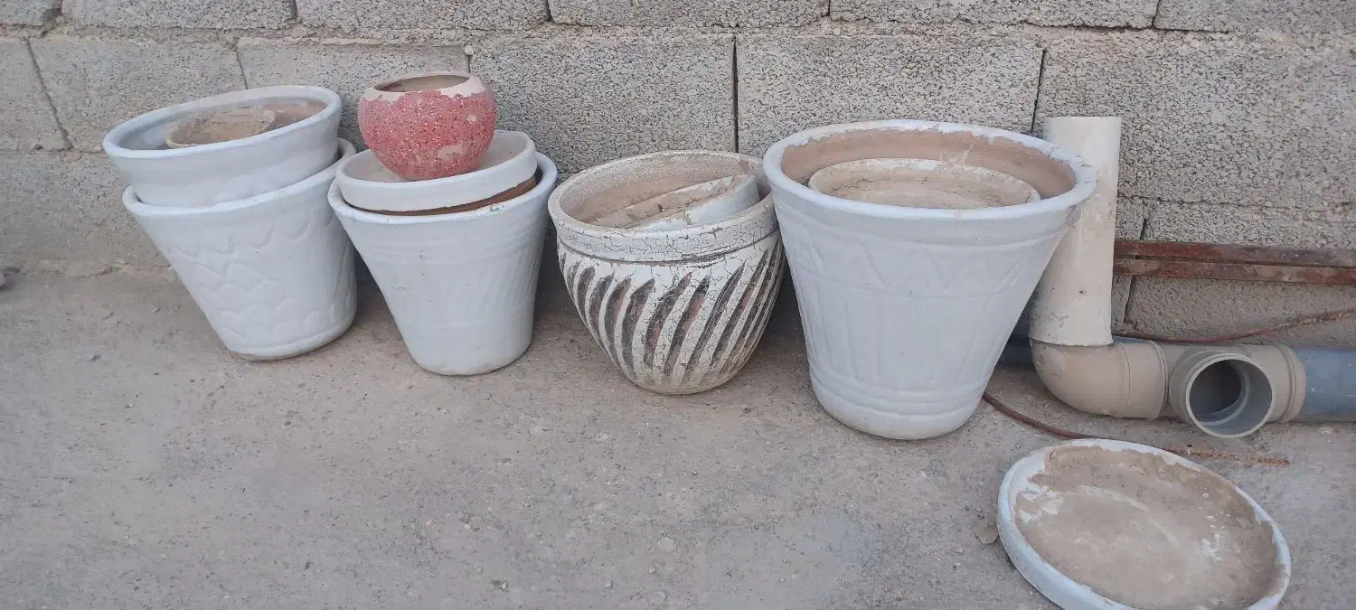 گلدان سایز بزرگ|گل و گیاه طبیعی|خورموج, |دیوار