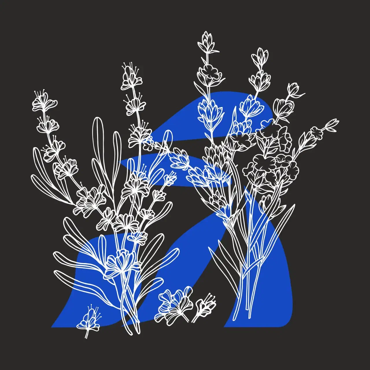 طراح چاپ سیلک و دی تی اف هستم|خدمات رایانه‌ای و موبایل|تهران, شارق|دیوار