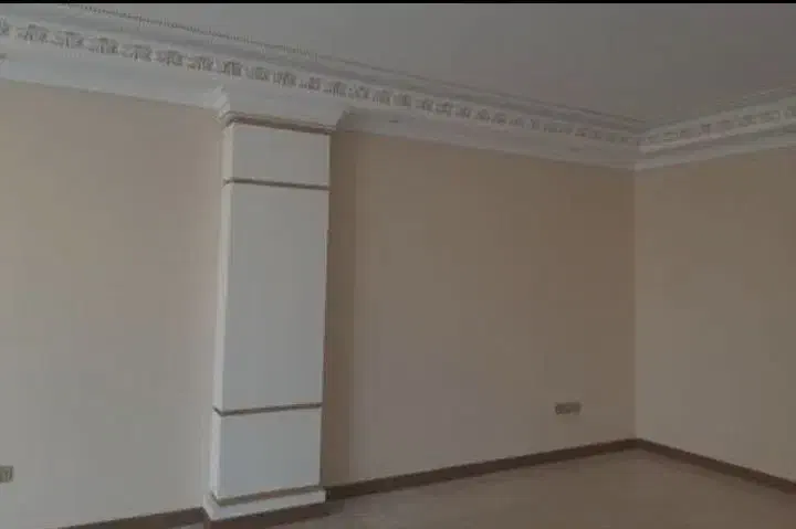 نقاشی ساختمان بهترین قیمت|خدمات پیشه و مهارت|مشهد, رده|دیوار