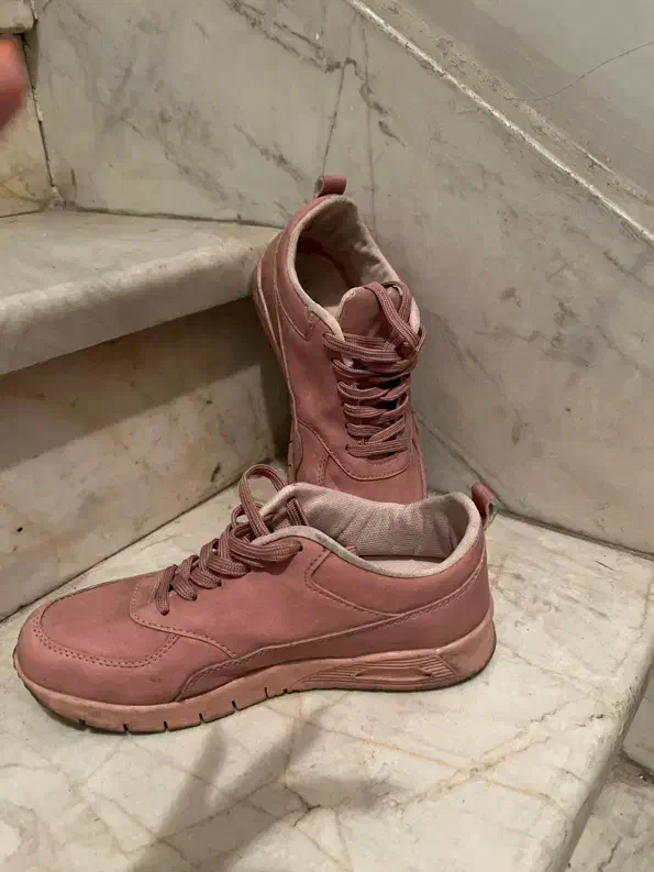 کتانی|کیف، کفش، کمربند|تهران, حر|دیوار