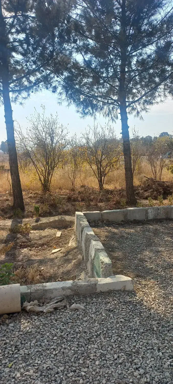 ۵۴۰۰ مترزمین فروشی باسالن کارگاهی|فروش دفتر صنعتی، کشاورزی، تجاری|کهریزک, |دیوار