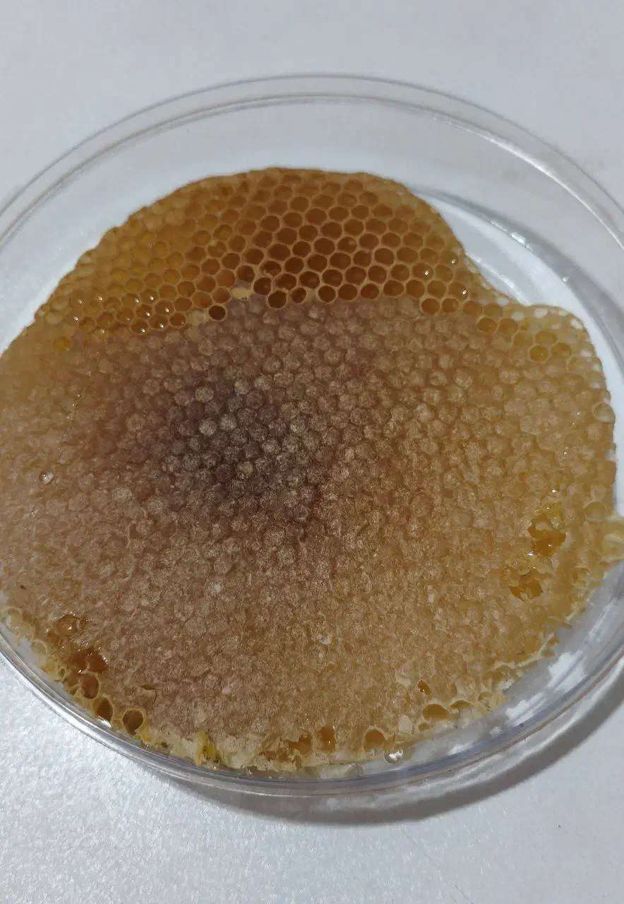 عسل طبیعی آذربایجان|حراج|قم, نیروگاه|دیوار