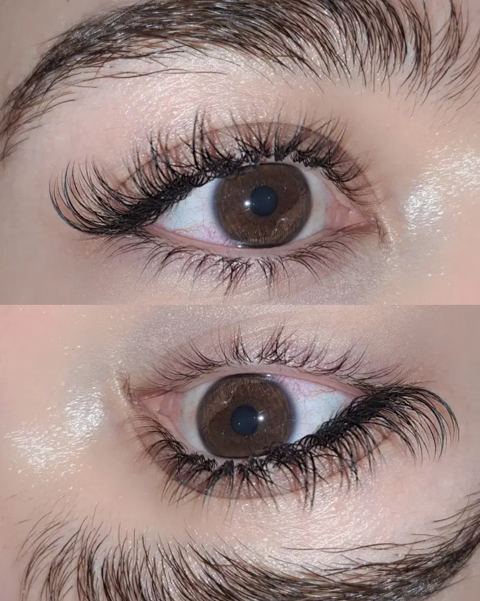 مدل رایگان اکستنشن مژه|خدمات آرایشگری و زیبایی|ری, جوانمرد قصاب|دیوار