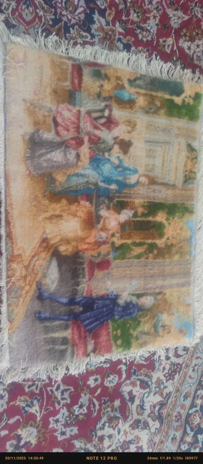 تابلوفرش شاعر جوان|فرش|بندرعباس, |دیوار