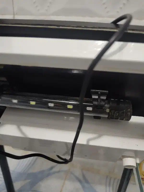 آکواریوم|ماهی|ساری, |دیوار