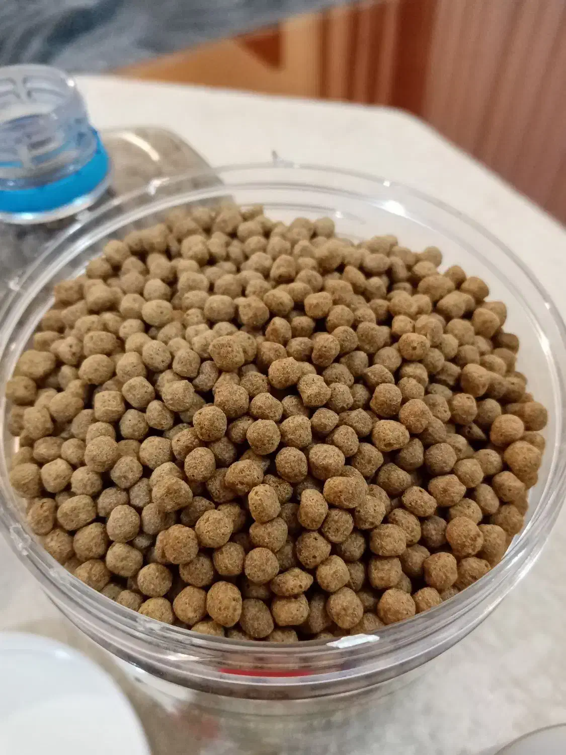 غذای ماهی|ماهی|اهواز, زیتون کارمندی|دیوار