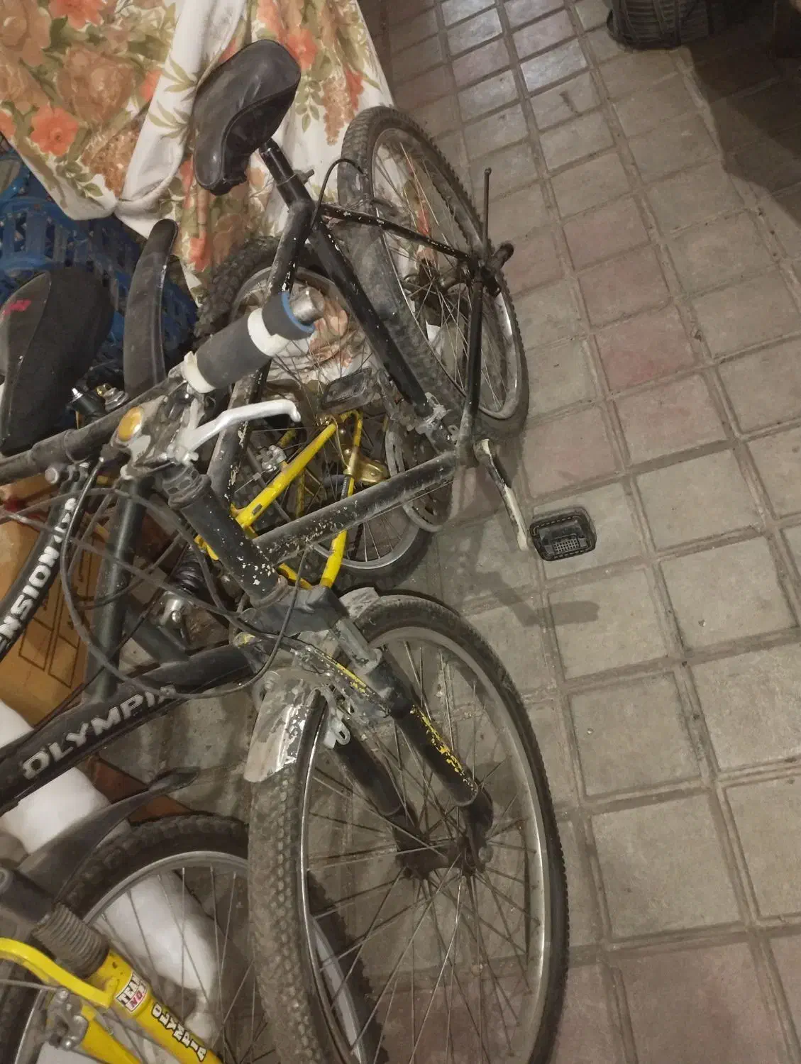 تعدادی دوچرخه زیر قیمت بازار فروش فوری|دوچرخه، اسکیت، اسکوتر|آستارا, |دیوار