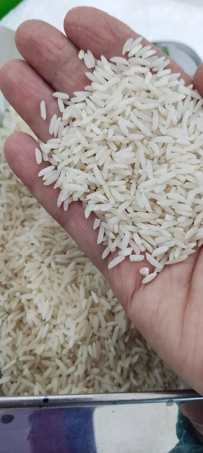برنج هاشمی وچای گیلان|خوردنی و آشامیدنی|هشتگرد, شهرک بعثت|دیوار