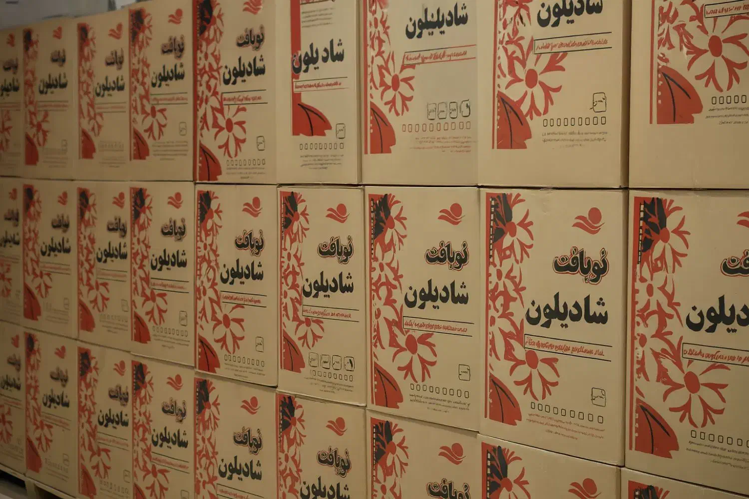 پتو شادیلون ضخیم / قیمت بنکداری برای مصرف‌کننده|رختخواب، بالش، پتو|مشهد, کوشک مهدی|دیوار