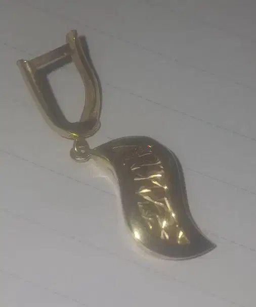 یک لنگه گوشواره گم شده|اشیا|قم, باغ شازده|دیوار