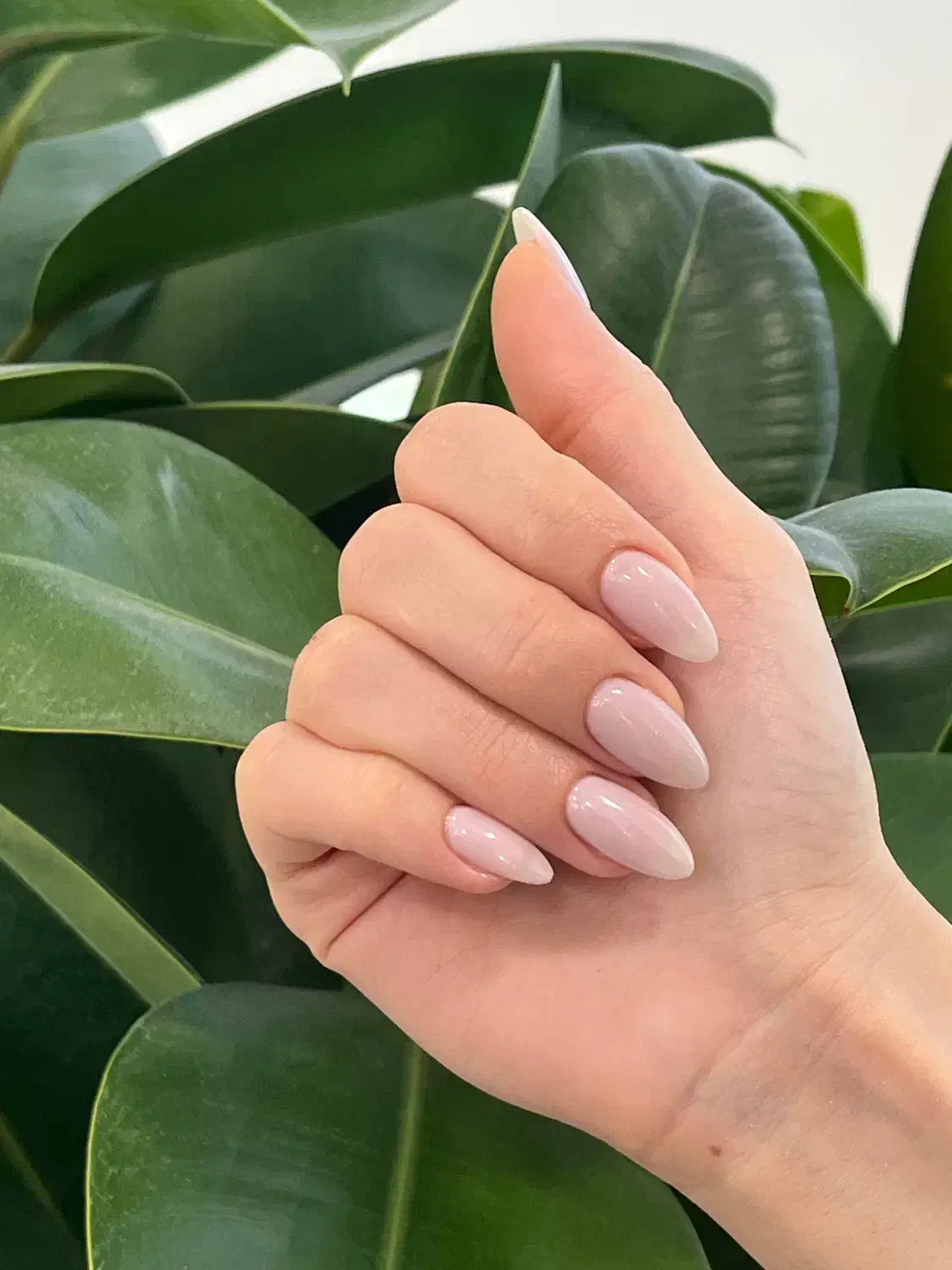 مدل ناخن رایگان|خدمات آرایشگری و زیبایی|تهران, حصار بوعلی|دیوار